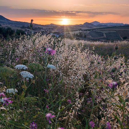 B&B Della Via Francigena Агридженто Екстериор снимка
