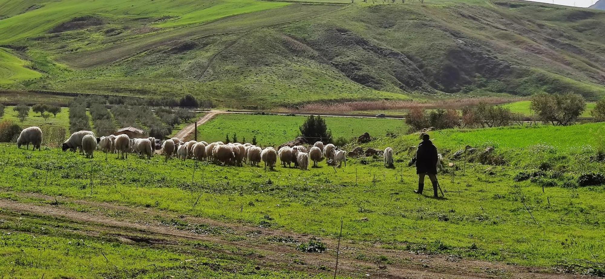 B&B Della Via Francigena Агридженто Екстериор снимка