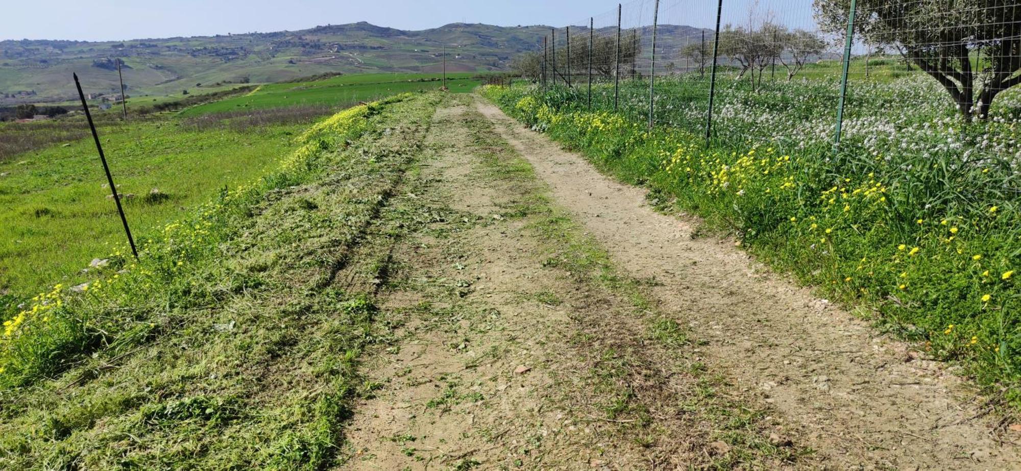 B&B Della Via Francigena Агридженто Екстериор снимка